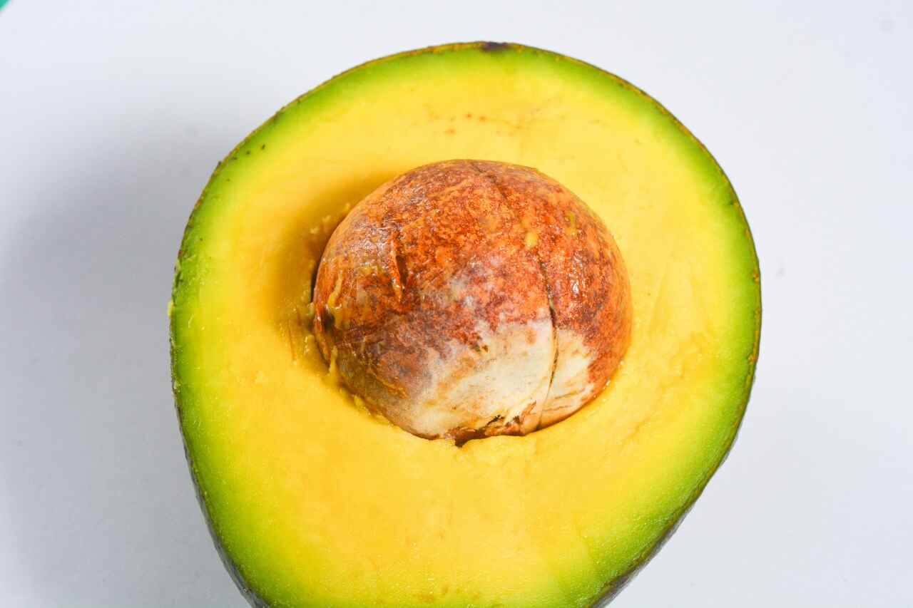 avocado fruit_1