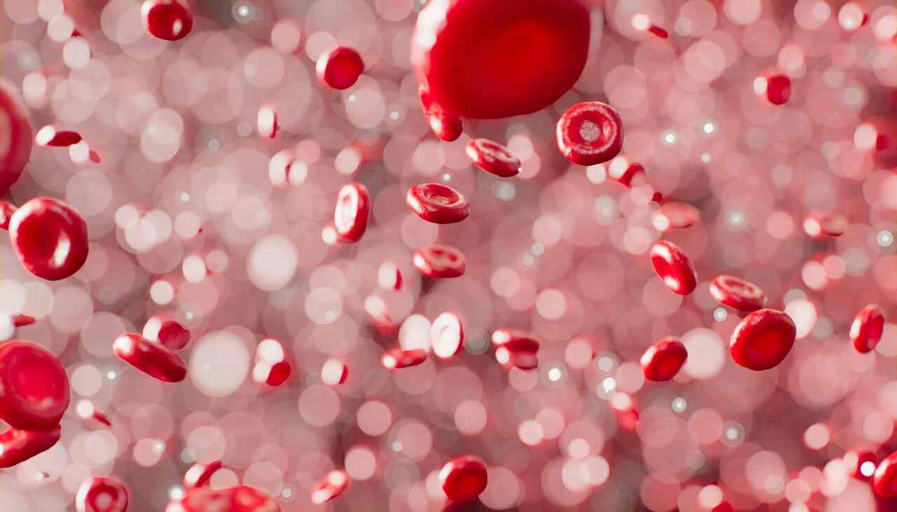 blood