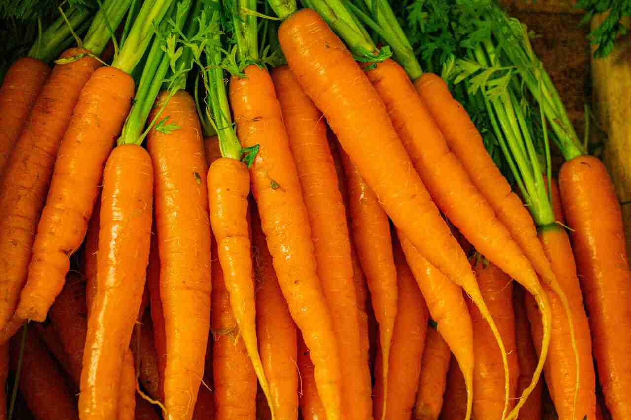 carrots
